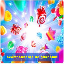 acompanhante de guanambi